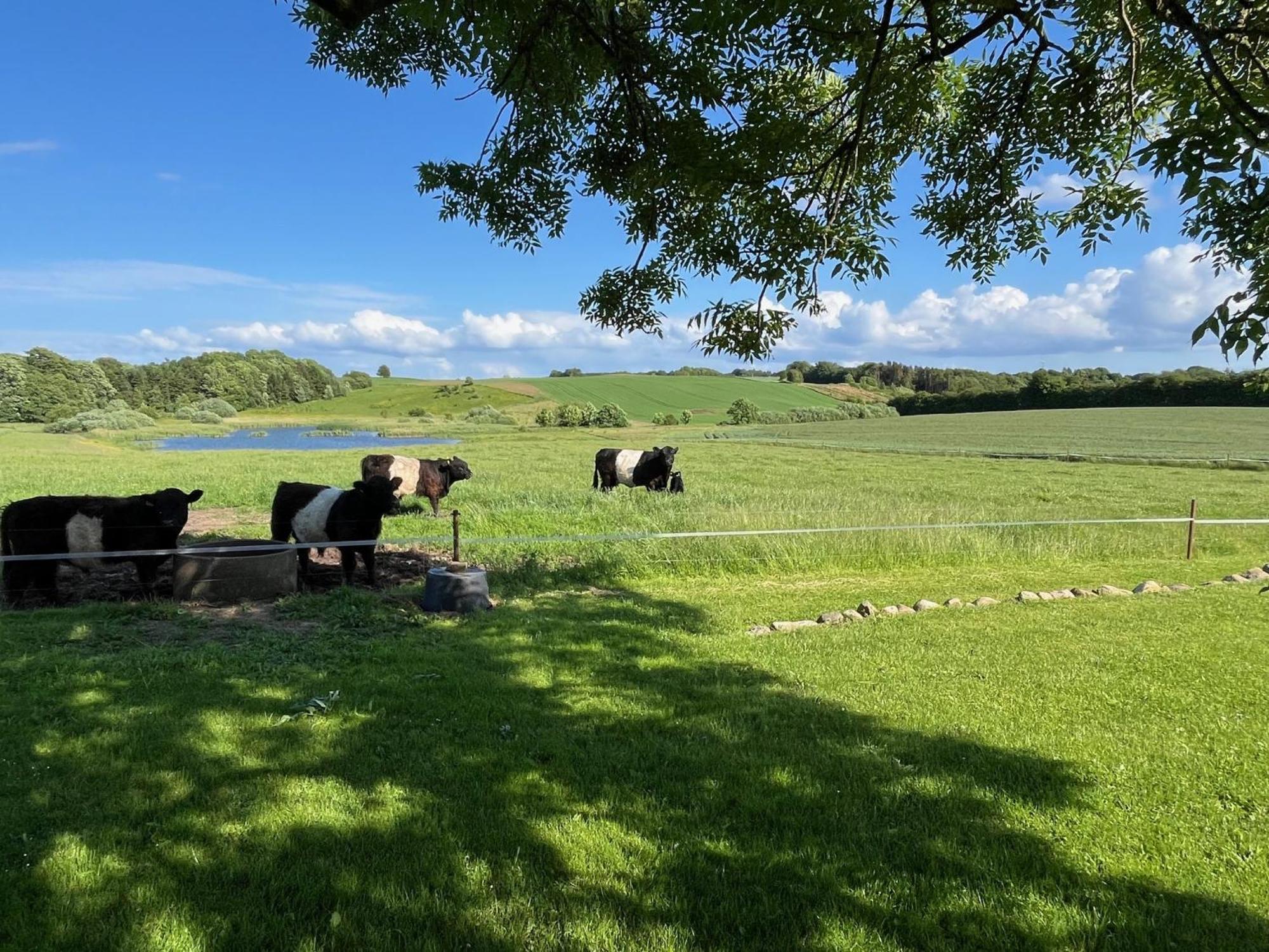 Vila Meldbjerg Stouby Exteriér fotografie